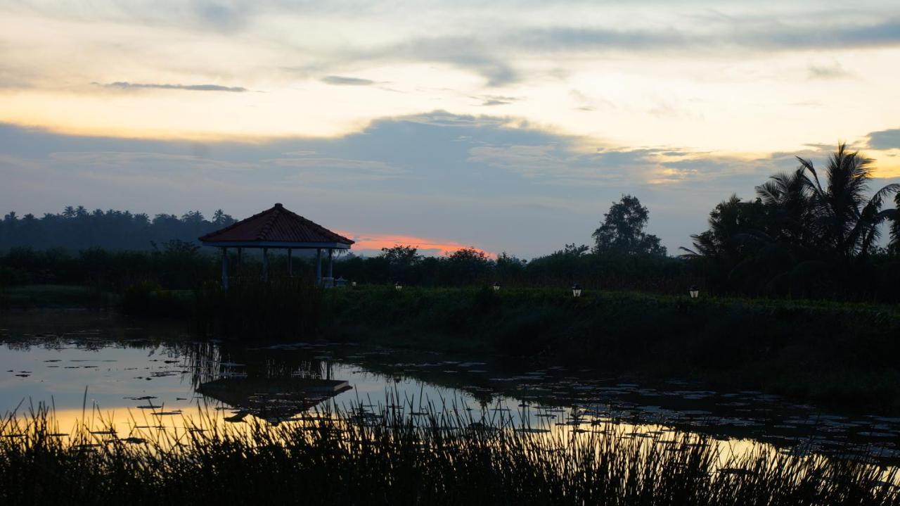 Ayubowan Swiss Lanka Bungalow Resort Бентота Екстер'єр фото